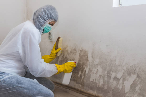 Best Mold Prevention Services  in Whispering Pines, NC